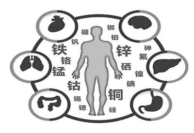 全自动草莓视频APP下载色版厂家微量元素在人体中起到哪些作用 全自动草莓视频APP下载色版厂家微量元素在人体中起到哪些作用