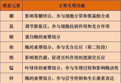 全自动草莓视频APP下载色版厂家微量元素的对人体的生理作用 全自动草莓视频APP下载色版厂家微量元素的对人体的生理作用
